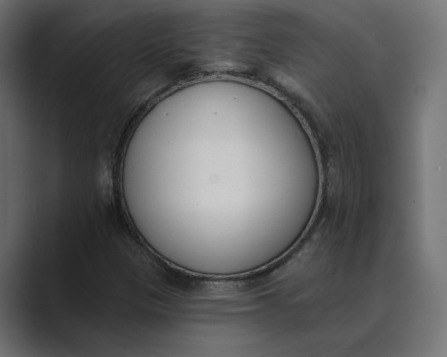 X0000089391305200706291327