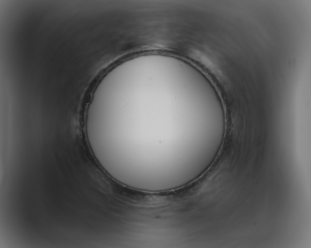 X0000089391308200706291327