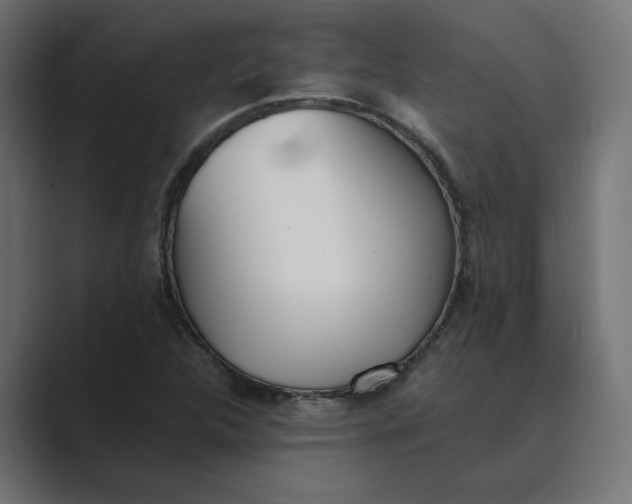 X0000089391312200706291327