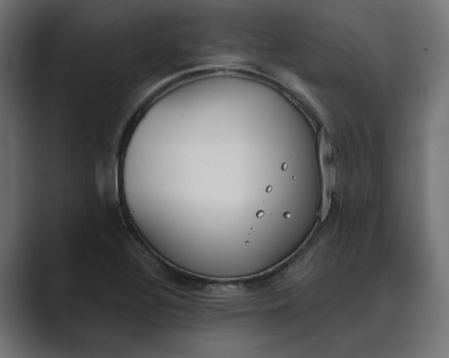 X0000089391320200706291327