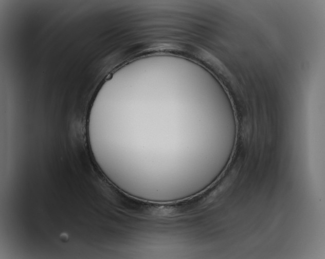X0000089391321200706291327