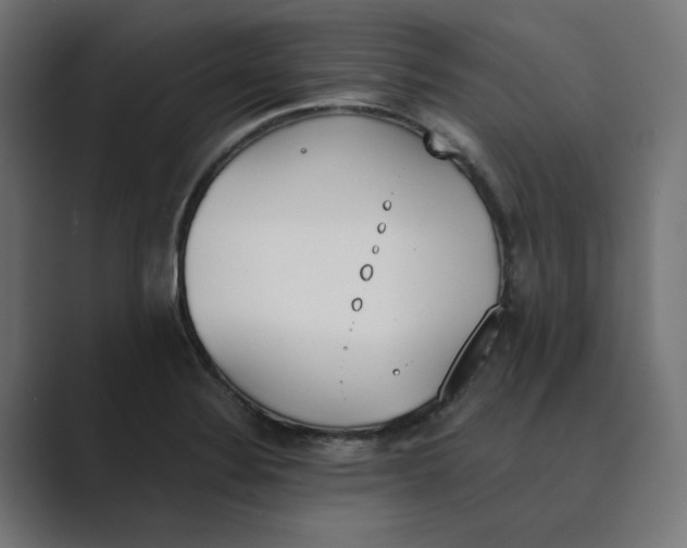X0000089391324200706291327