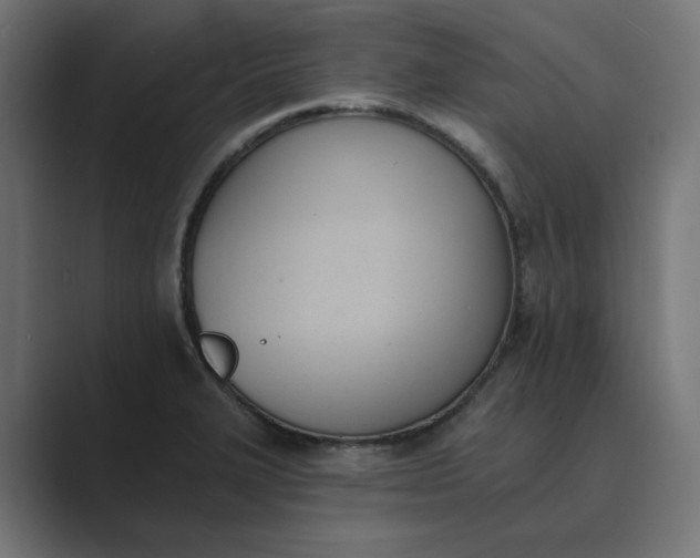 X0000089391327200706291328