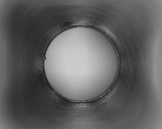 X0000089391329200706291328