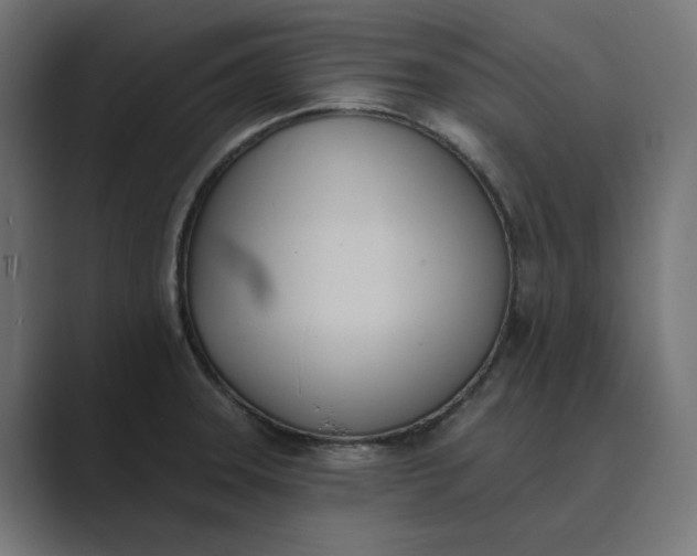 X0000089391331200706291328