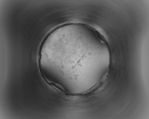 X0000089391334200706291328