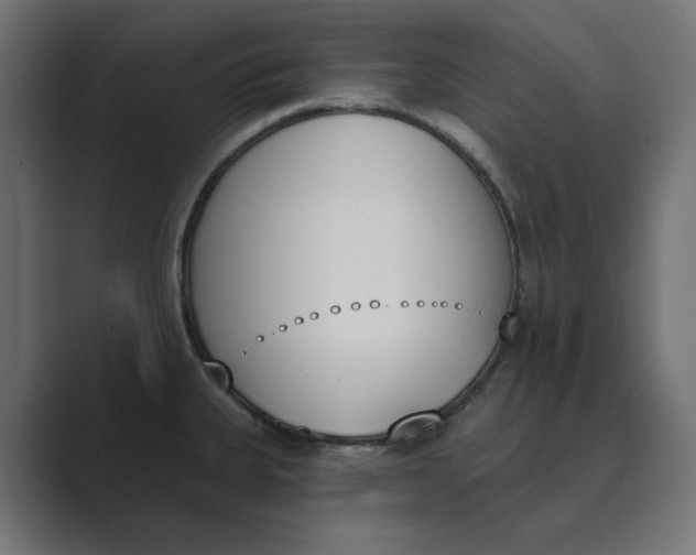 X0000089391335200706291328