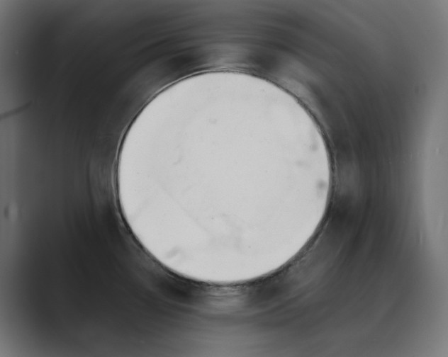 X0000089391338200706291328