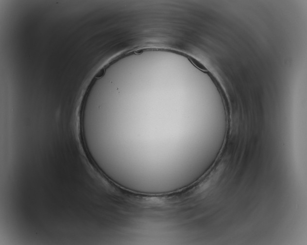 X0000089391341200706291328