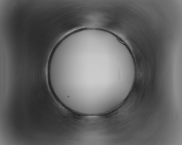 X0000089391343200706291328