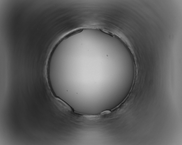 X0000089391344200706291328