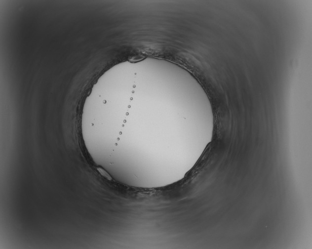 X0000089391345200706291327