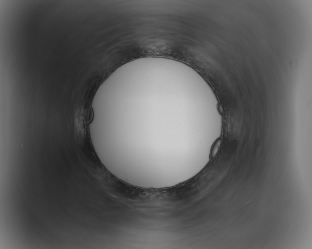 X0000089391346200706291327