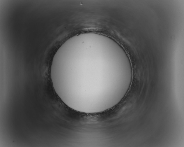 X0000089391351200706291327