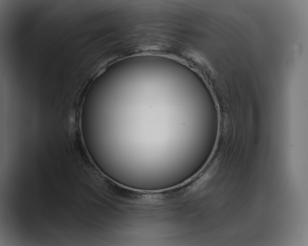 X0000089391353200706291327