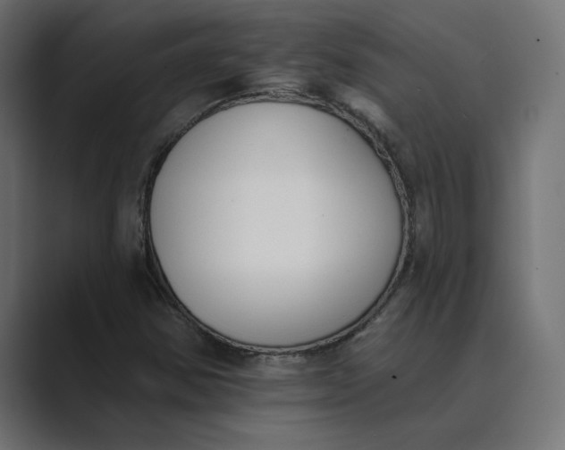 X0000089391354200706291327