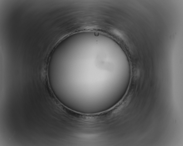 X0000089391361200706291327