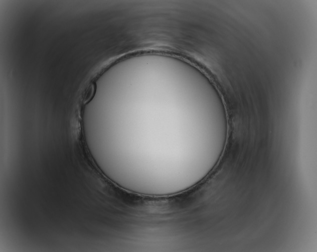 X0000089391363200706291327