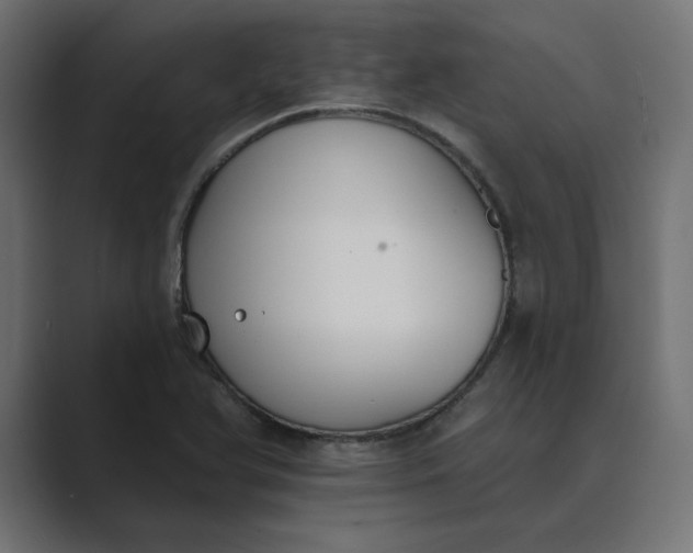 X0000089391366200706291327