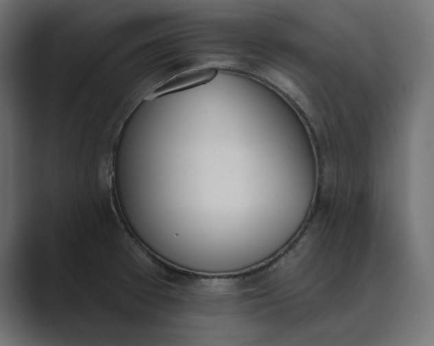 X0000089391377200706291327