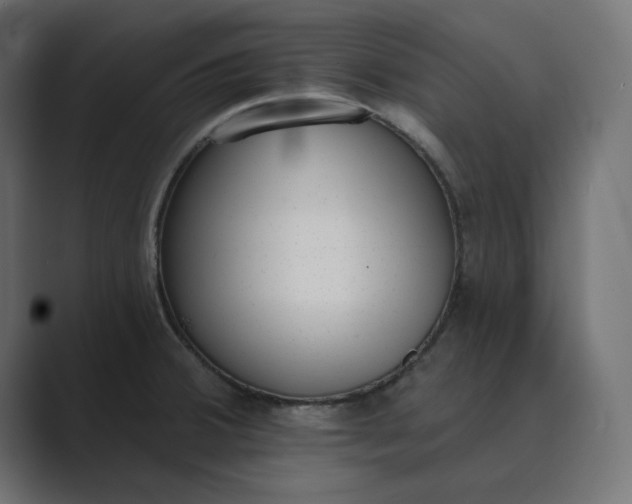 X0000089391380200706291327