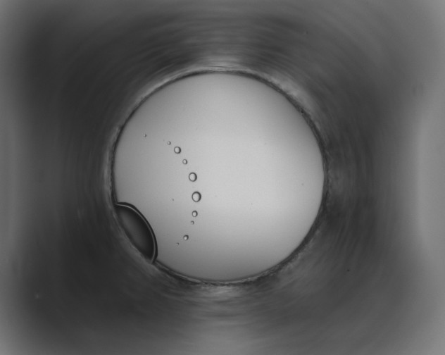 X0000089391382200706291327
