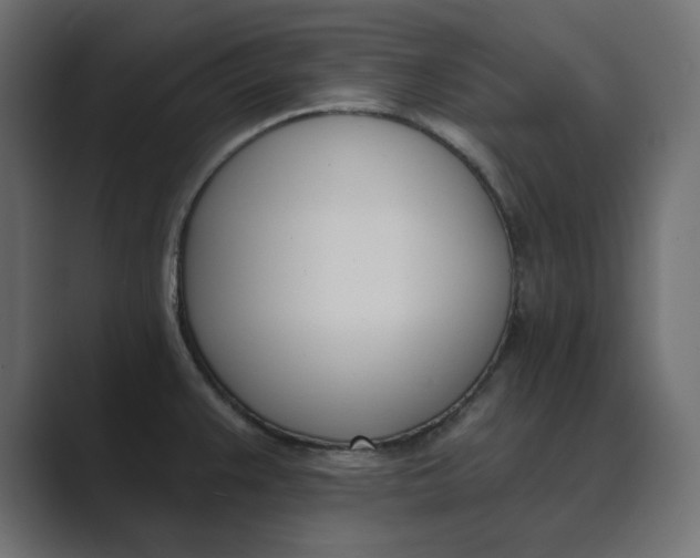 X0000089391383200706291327