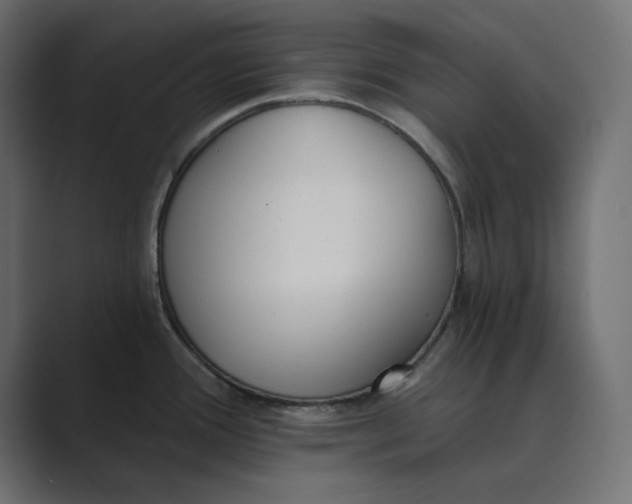 X0000089391388200706291327