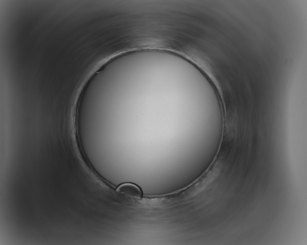 X0000089391389200706291327