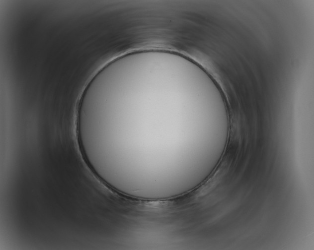 X0000089391390200706291327