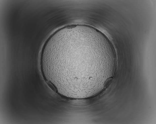 X0000089391392200706291327