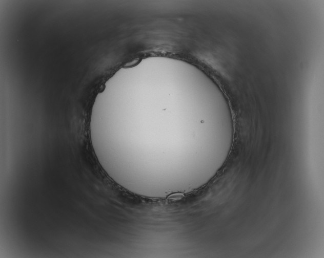X0000089391399200706291326