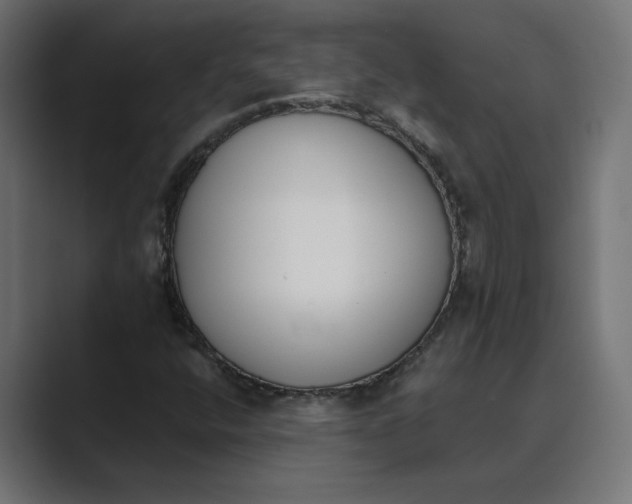 X0000089391400200706291326