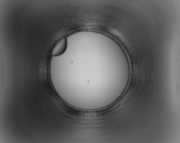 X0000089391403200706291326