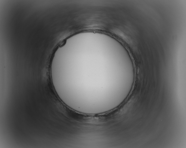 X0000089391405200706291326