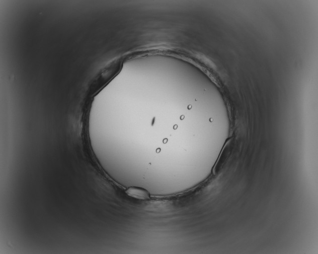 X0000089391406200706291326