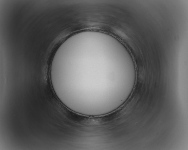 X0000089391411200706291326
