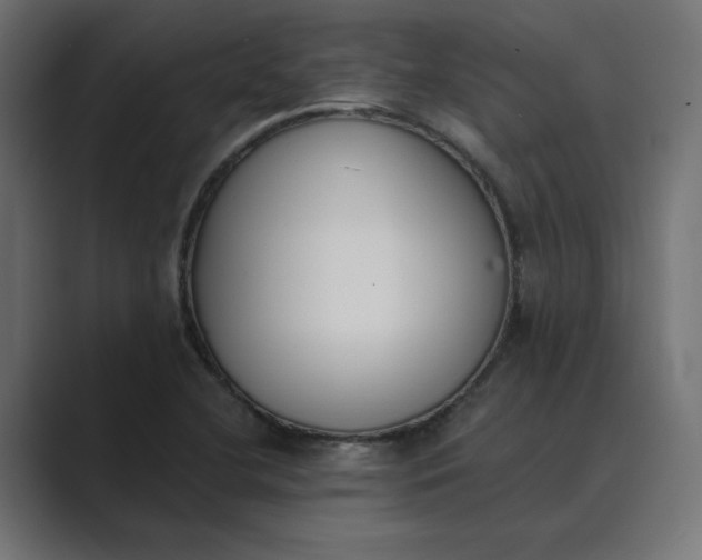 X0000089391412200706291326