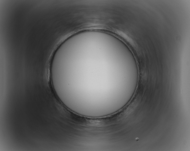 X0000089391413200706291326
