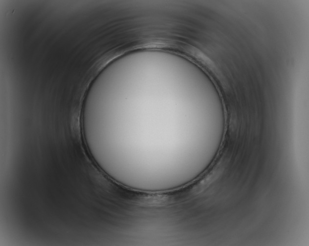 X0000089391417200706291326