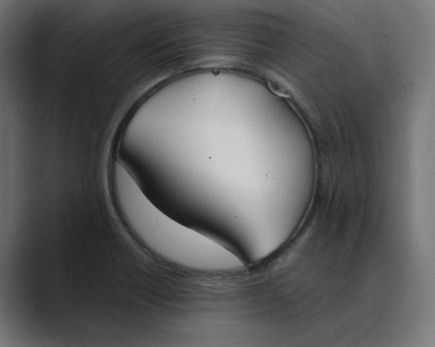 X0000089391418200706291326