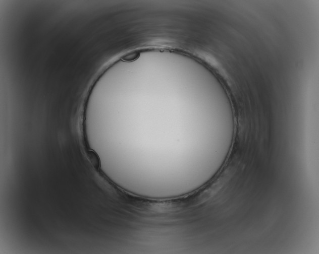 X0000089391421200706291326