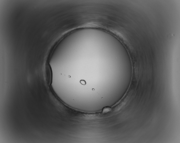 X0000089391422200706291326