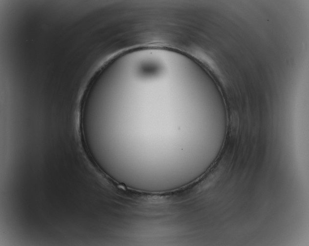 X0000089391424200706291326