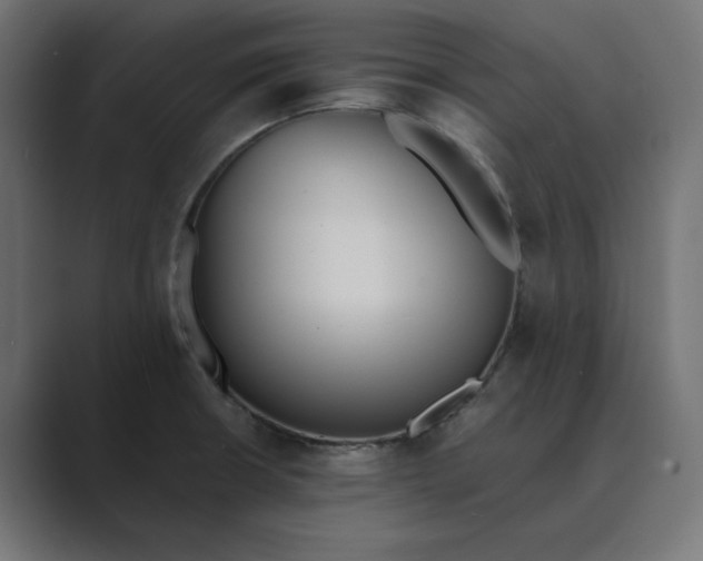 X0000089391426200706291326
