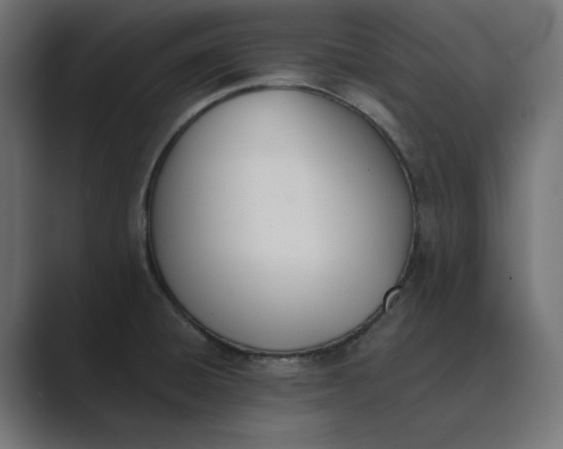 X0000089391428200706291326