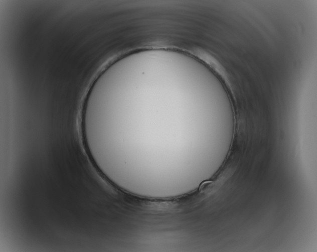 X0000089391429200706291326