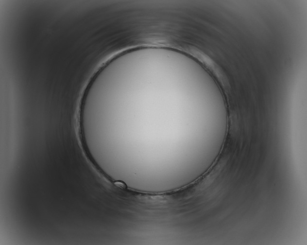 X0000089391432200706291326