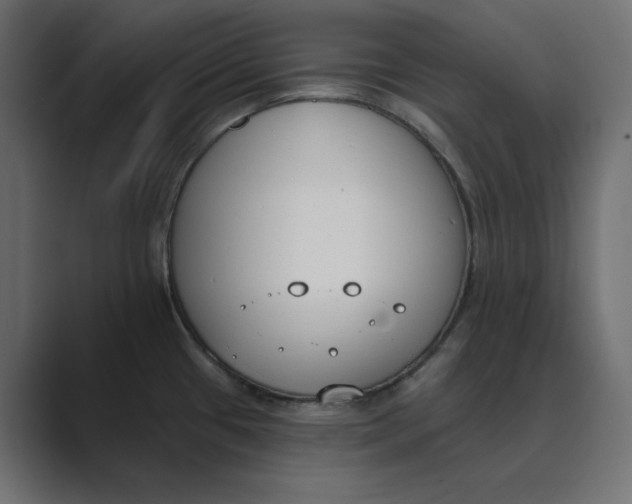 X0000089391433200706291327