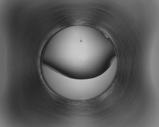 X0000089391434200706291327